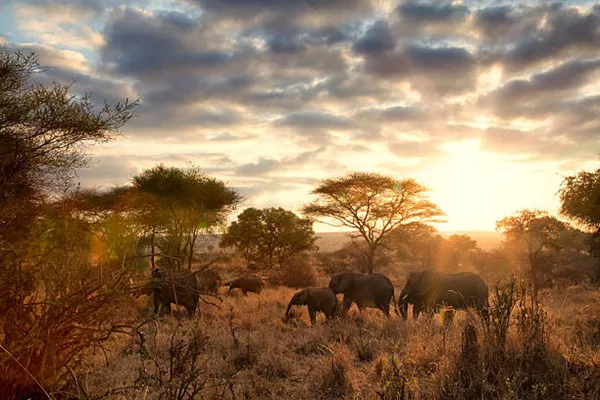 2-Day Tanzania Safari Tour Package