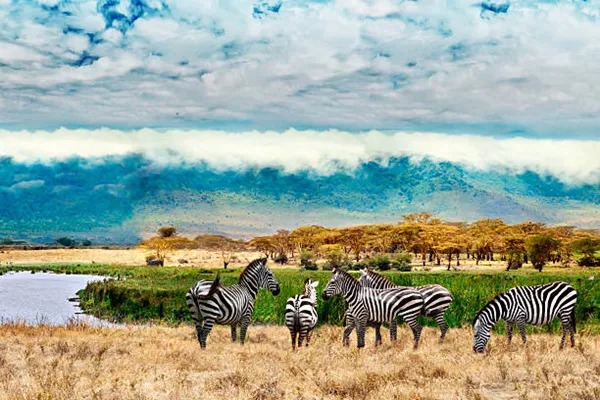 3-Day Tanzania Safari Tour Package