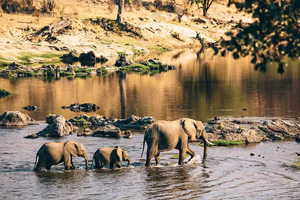 4-Day Tanzania Safari Tour Package 1